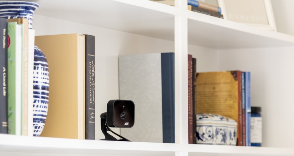 adt Indoor security cameras in Indianapolis